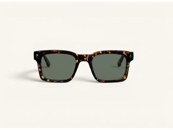 Lentes de sol TR-90 degradado carey vista frontal - Wayfarer TR-90 Degradado Carey Sol - Guacamayo